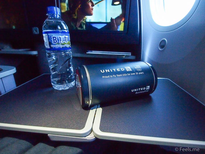 United UA2 SIN SFO: Team USA Amennity Metal Kit