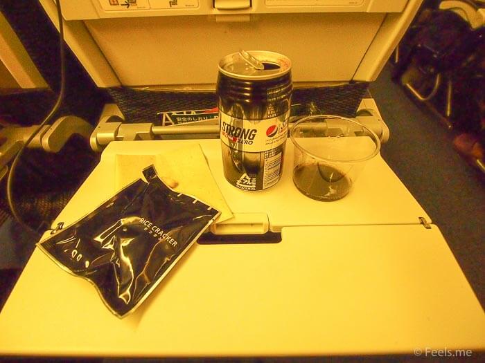 ANA NRT SIN Economy Review