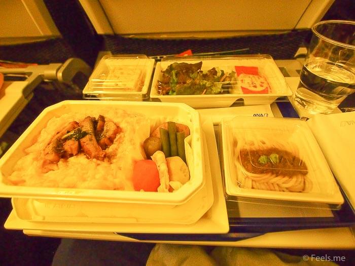 ANA NRT SIN Economy Review