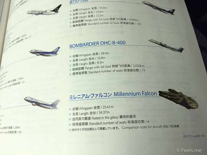 ANA NRT SIN Economy Review