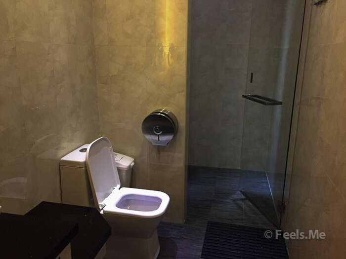 SATS Lounge Singapore Changi Terminal 1 Bathroom & Shower